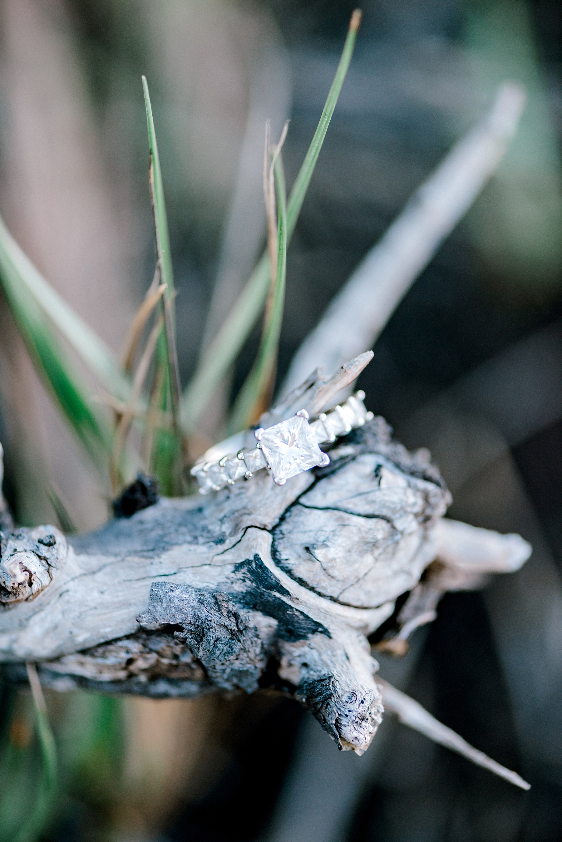 jenny_vargas_photography_Maui_Couple_Photography_Maui_Couples_Photographer_Maui_Engagement_Photographers_Maui_Photographer_Maui_Couples_Portraits